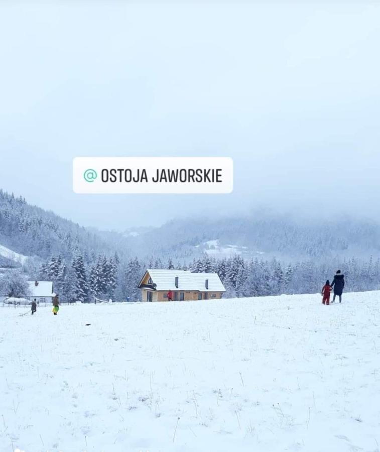 סטרישאבה Ostoja Jaworskie מראה חיצוני תמונה