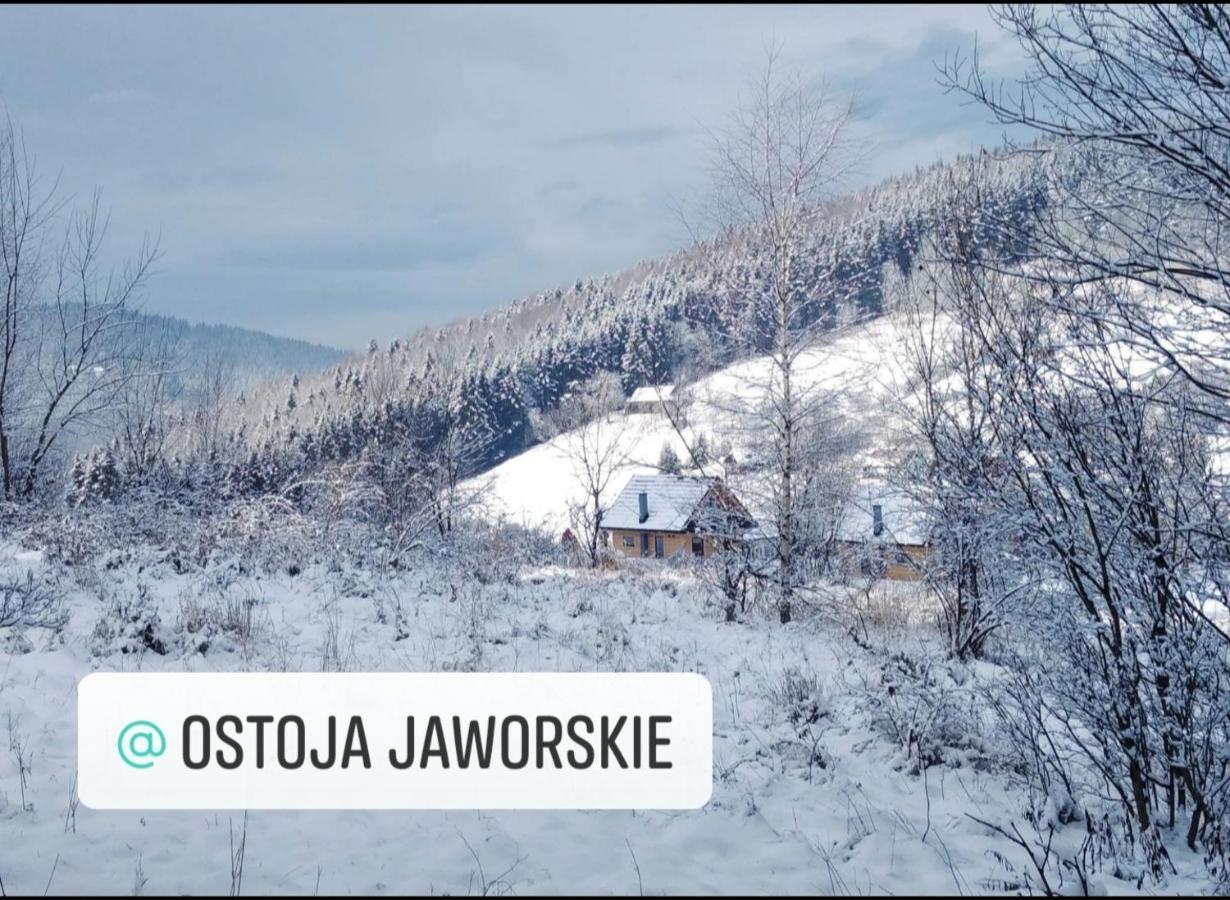 סטרישאבה Ostoja Jaworskie מראה חיצוני תמונה